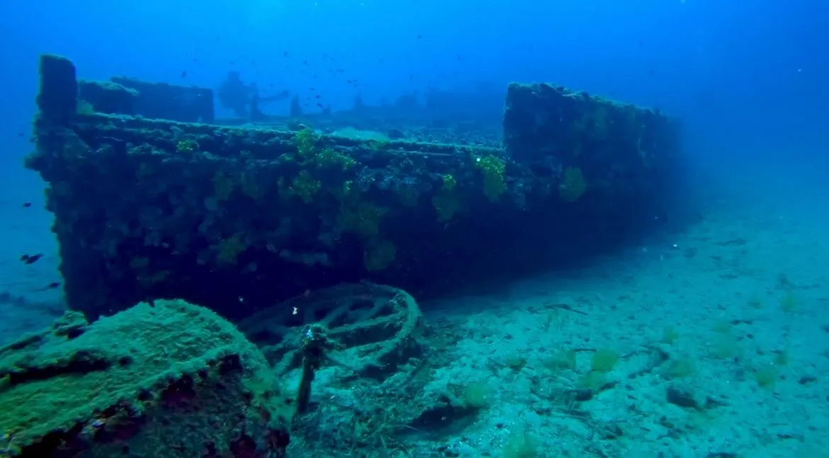 ÇANAKKALE DALIŞ TURU