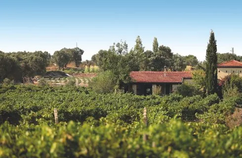 URLA GASTRONOMİ VE ARKEOLOJİ TURU